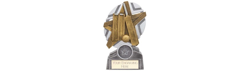 THE STARS CRICKET TROPHY - 3 SIZES - 130MM - 170MM